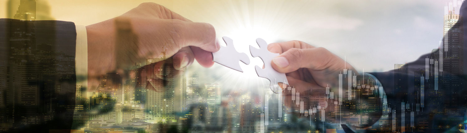 Berkley Custom Insurance Managers